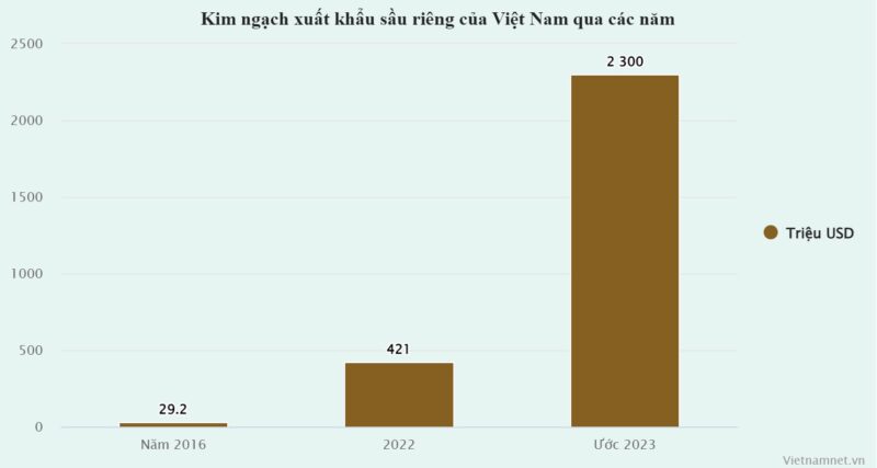 Sầu riêng 1 vốn 5 lời: Đại gia Việt đua nhau trồng sầu riêng, dự thu lãi hàng nghìn tỷ