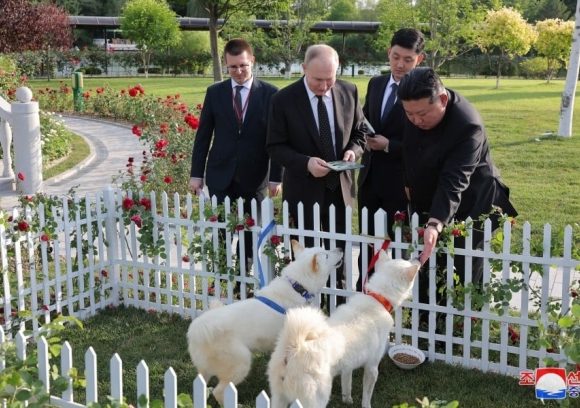 Ông Kim Jong-un tặng ông Putin cặp 'quốc khuyển' Triều Tiên
